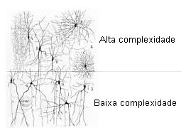 Complexidade